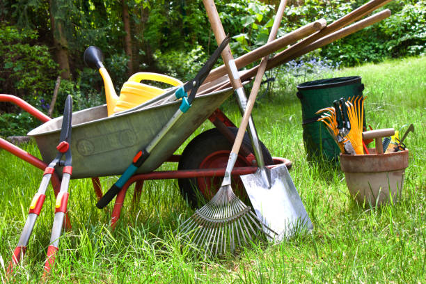Various gardening tools in the garden background Gettyimages 1128479561 612x612 2